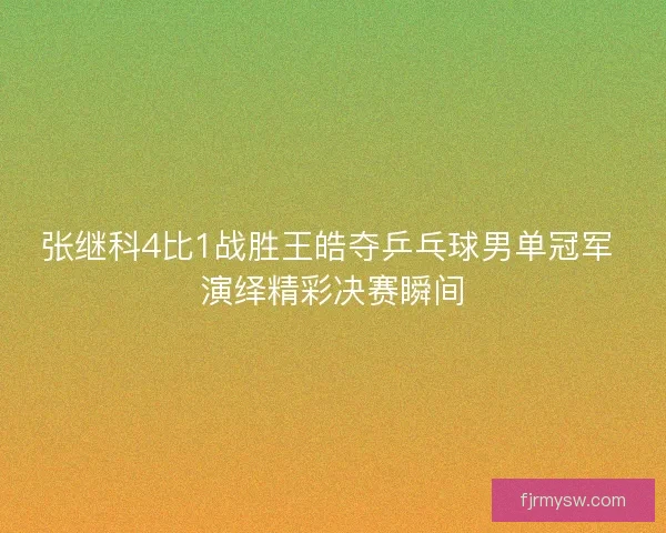 张继科4比1战胜王皓夺乒乓球男单冠军 演绎精彩决赛瞬间