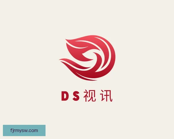 关于DS视讯
